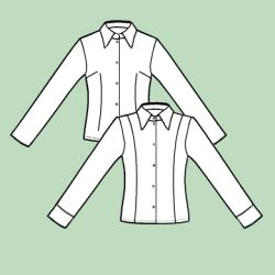 Fitted blouse